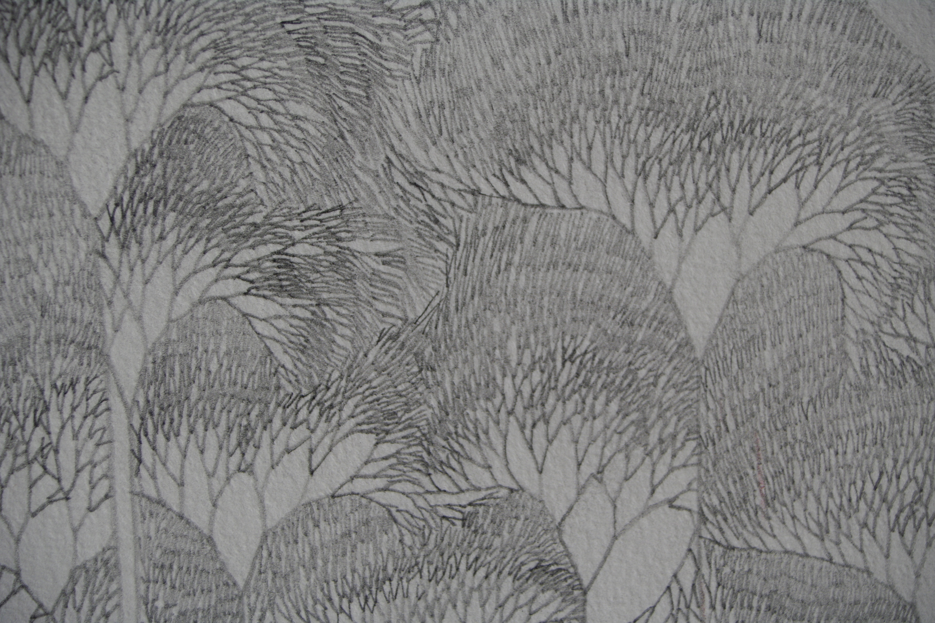 detail of graphite pencil drawing of tree-like, fractally branching lines