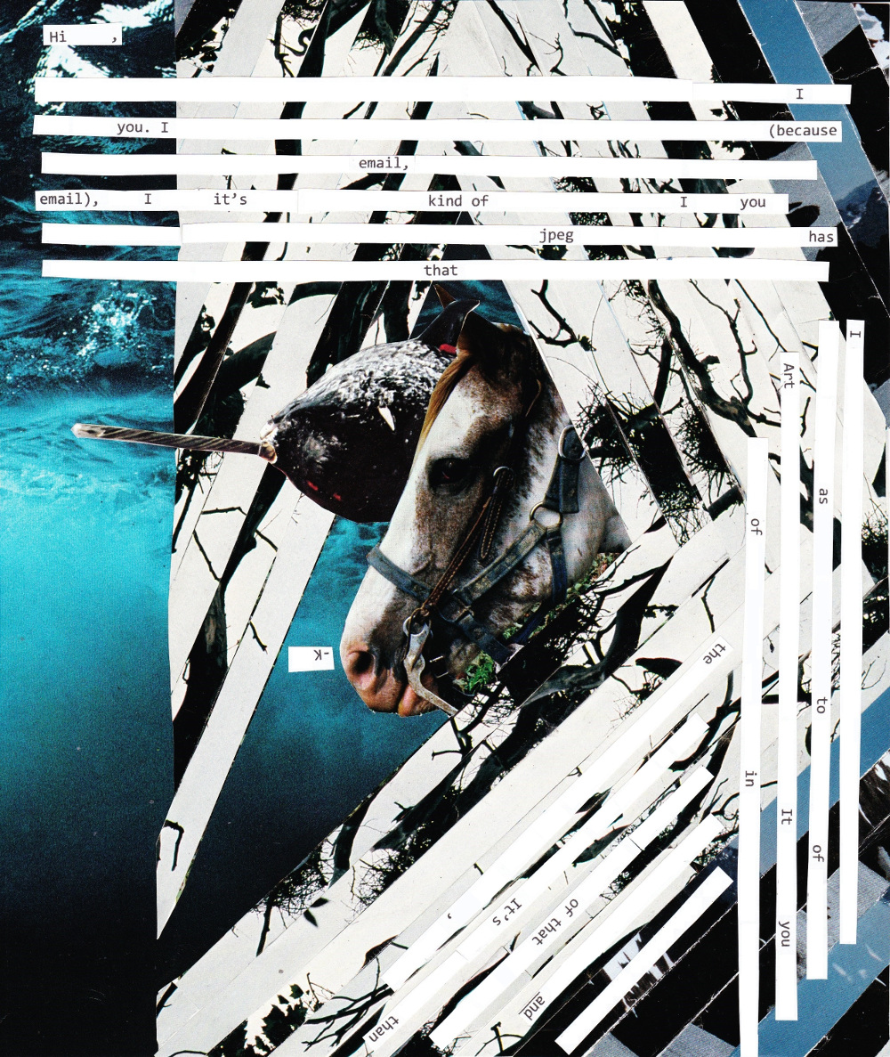 collage featuring a horse and a narwhal surrounded by interwoven diagonal lines, overlaid with redacted strips of text