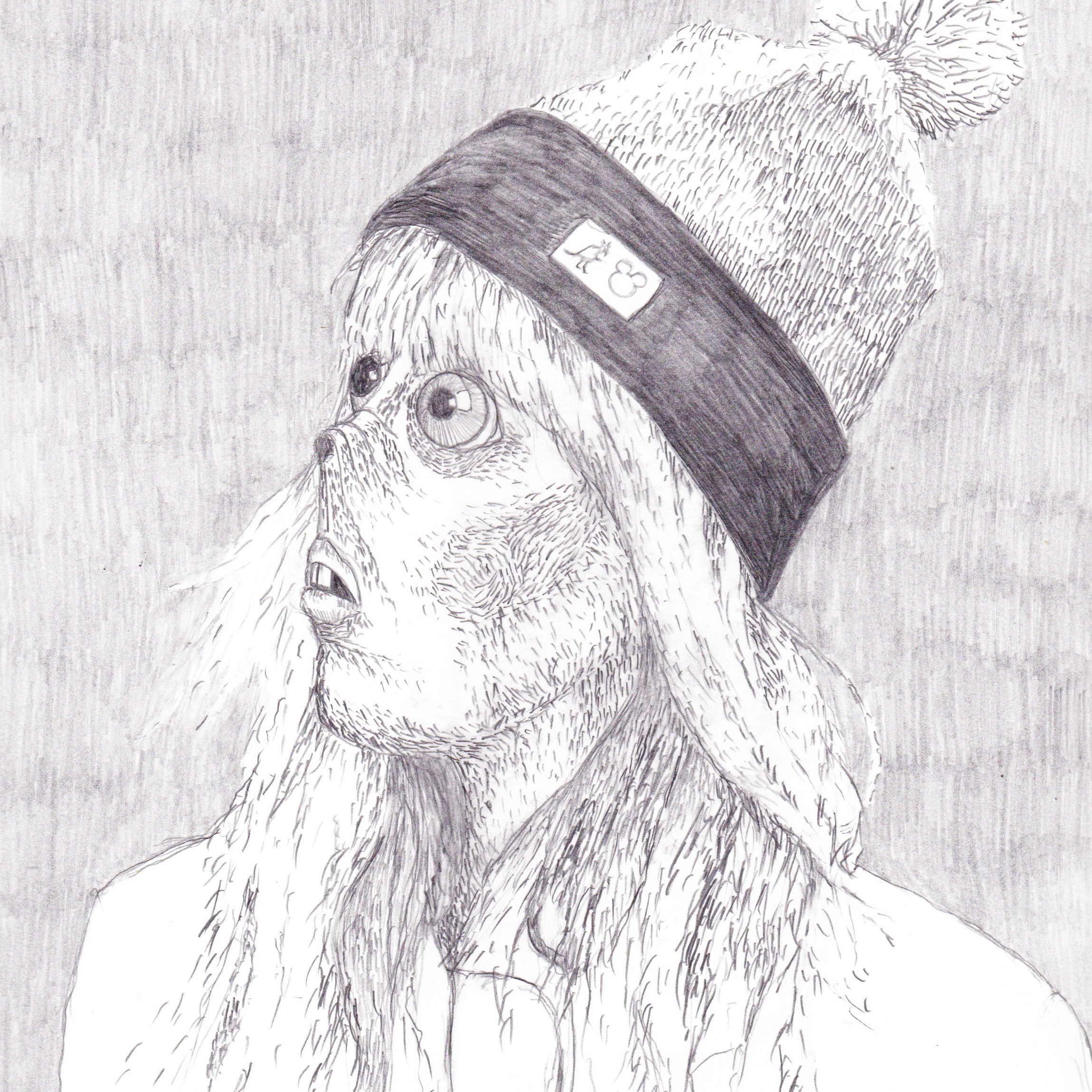 pencil drawing of a young woman who is mid-transformation into a nonspecific animal