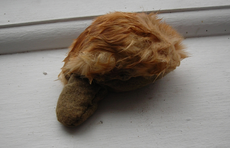 sculpture made of fur and fabric filled with dirt, it has one stumpy leg sticking out