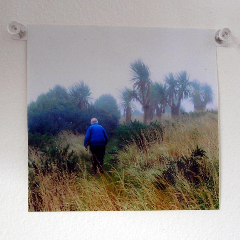 source photo for the above pencil drawings, it is my grandmother, the photo is titled 'Last Walk on Port Hills 1999'
